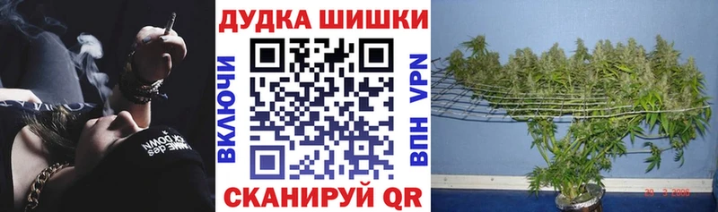 Бошки Шишки Amnesia  Арсеньев 